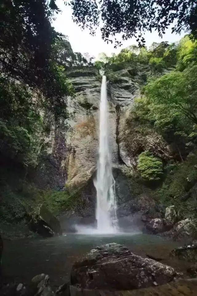 探索世界奥秘,尽在熊出没熊大农场内购版蜗牛问答平台